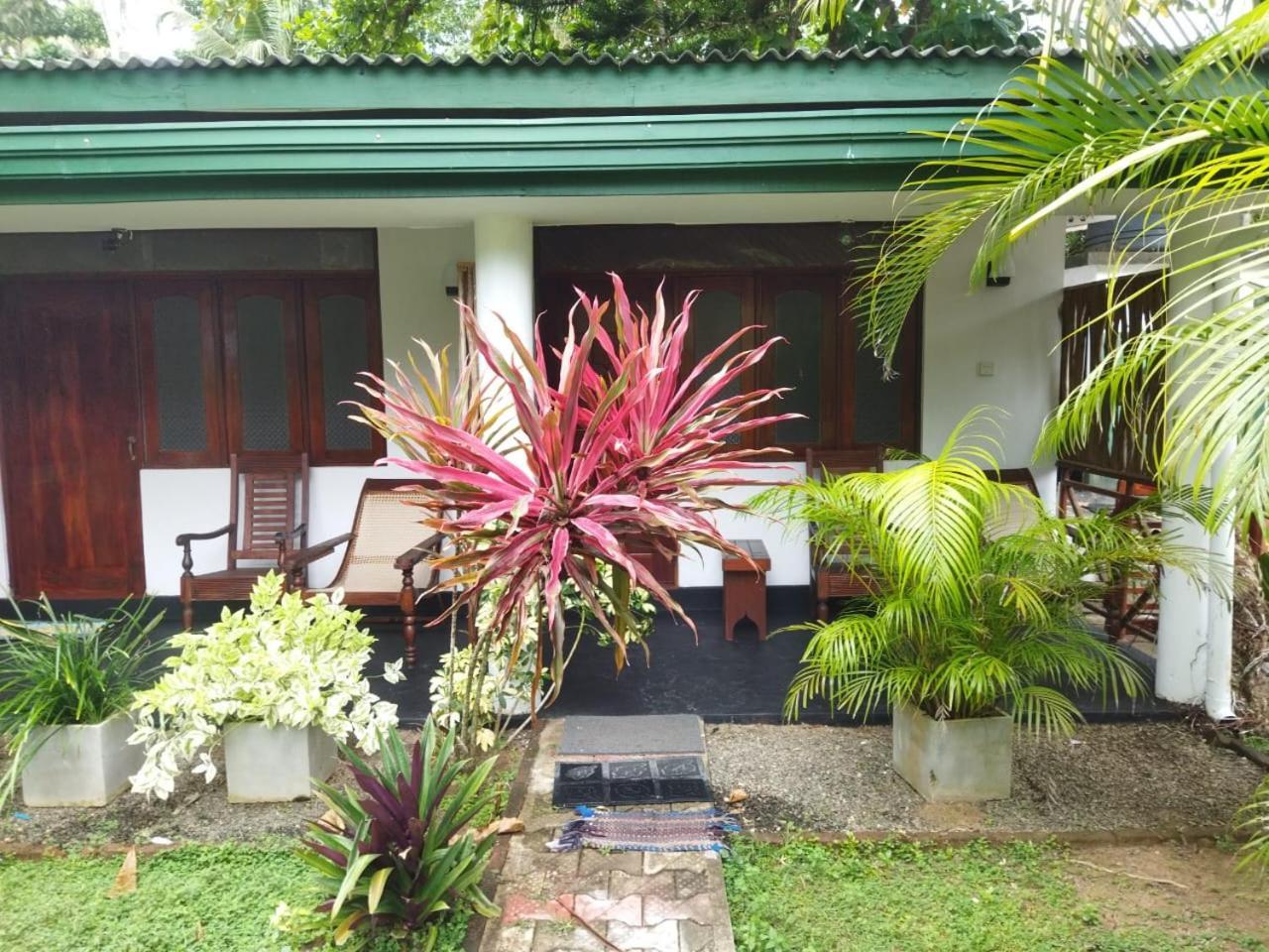 Lion Paradise Surf Beach Matara Exterior foto